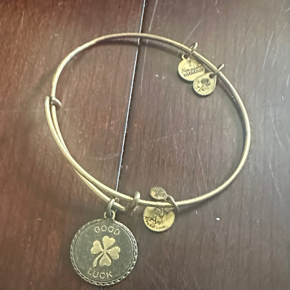 Alex and Ani Good Good Luck Charm Bangle Bracelet